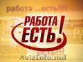 Агентству по трудоустройству в германии требуется персонал