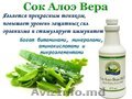 Сок Алоэ Вера НСП Aloe Vera Juice NSP Молдова