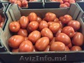 подаем томаты