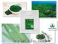 Comprimante Spirulina