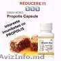 Capsule Propolis Copii