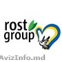 Rost Group HR-услуги