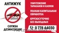 Фирма по борьбе с клопами в Тирасполе,  профессиональная обработка от тараканов