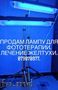 Лампа Philips лечение желтухи (высокий Билирубин)