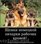 За скромную застенчивую цену